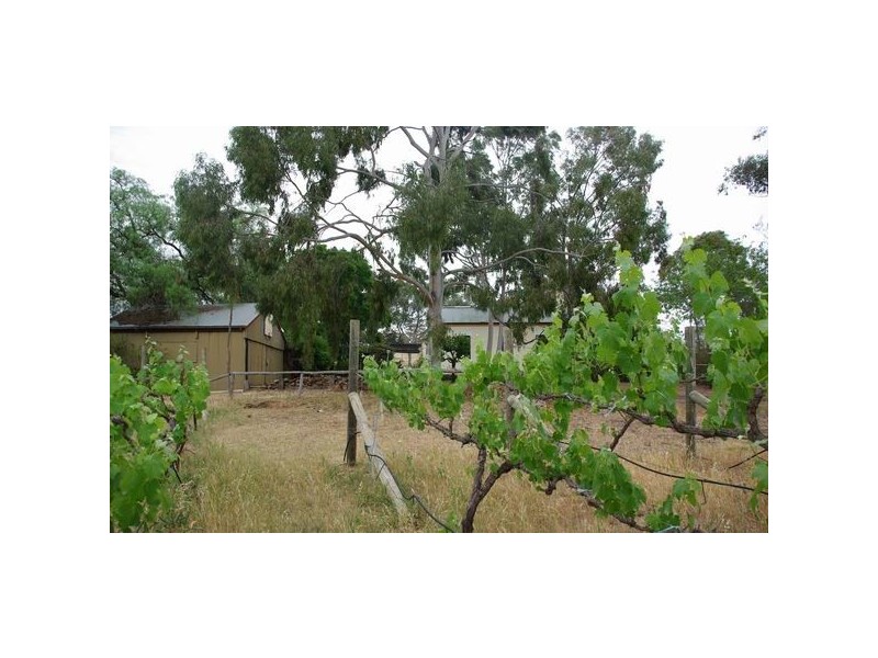13 Geurie Street, Geurie NSW 2831