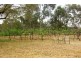 13 Geurie Street, Geurie NSW 2831