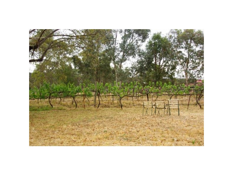 13 Geurie Street, Geurie NSW 2831