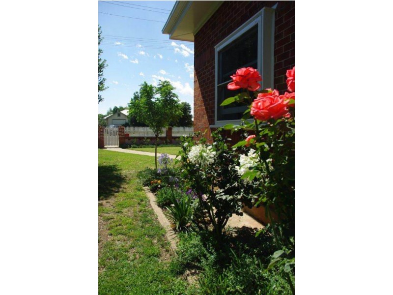 53 Raymond Street, Wellington NSW 2820