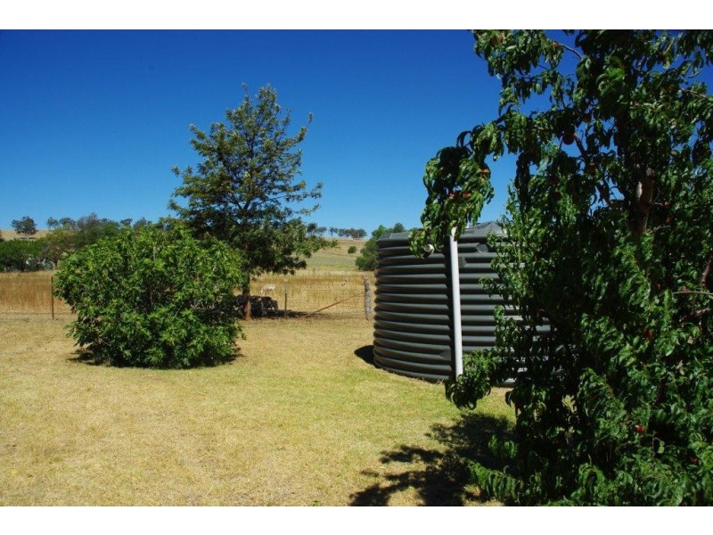 9 Spicers Street, Bodangora NSW 2820