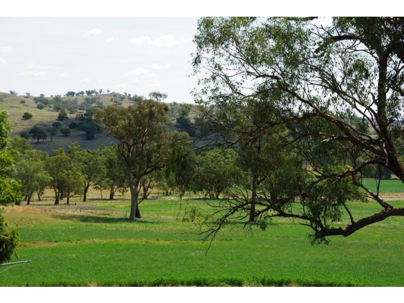 725 Neurea Road, Wellington NSW 2820