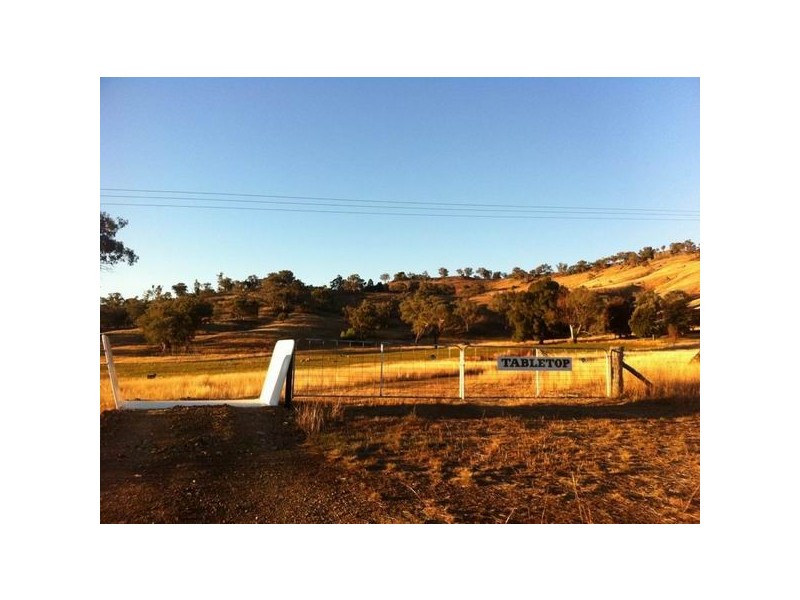 725 Neurea Road, Wellington NSW 2820