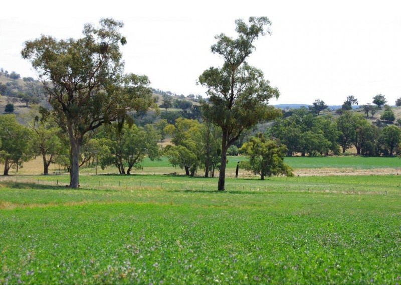 725 Neurea Road, Wellington NSW 2820