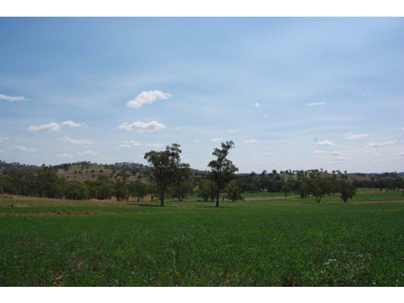 725 Neurea Road, Wellington NSW 2820