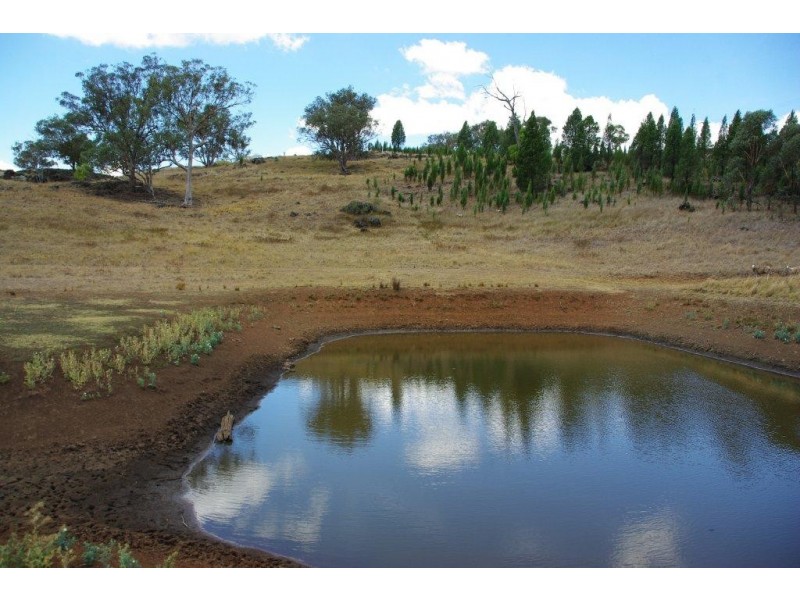 725 Neurea Road, Wellington NSW 2820