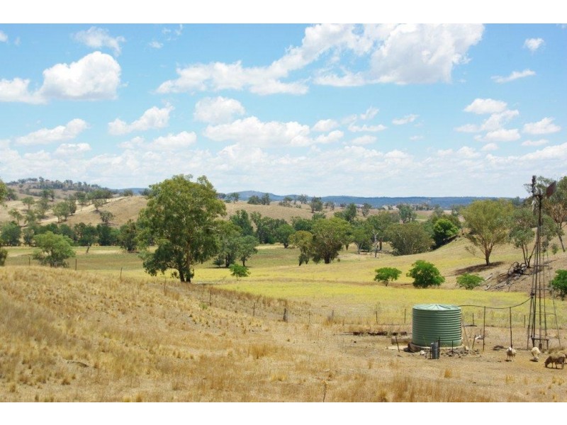 725 Neurea Road, Wellington NSW 2820