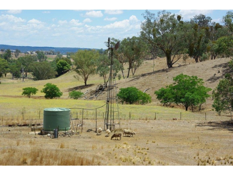 725 Neurea Road, Wellington NSW 2820