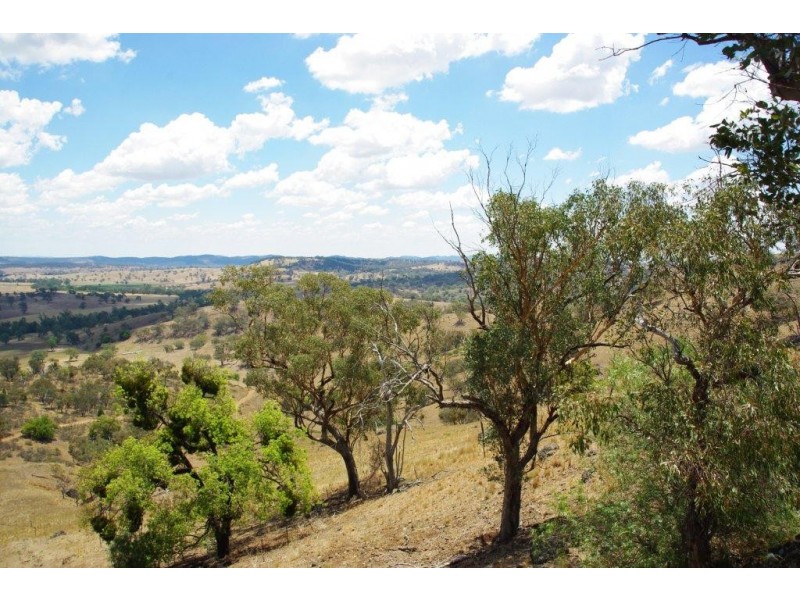 725 Neurea Road, Wellington NSW 2820