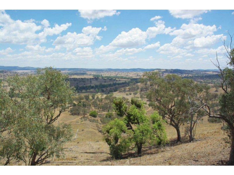 725 Neurea Road, Wellington NSW 2820