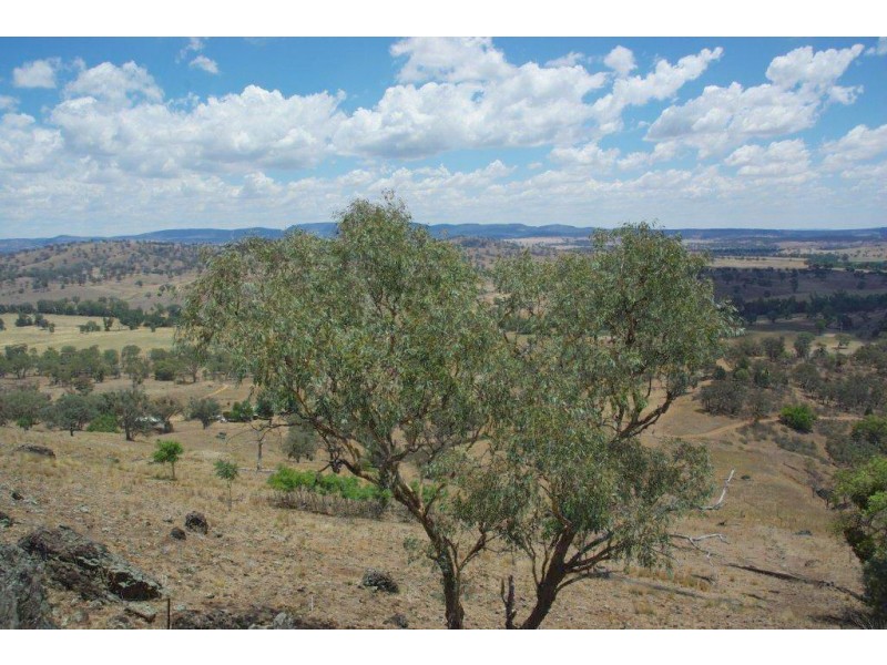 725 Neurea Road, Wellington NSW 2820