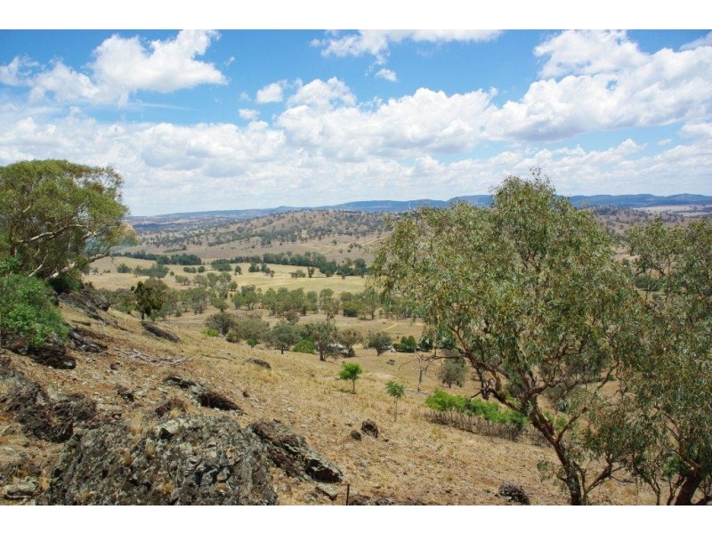 725 Neurea Road, Wellington NSW 2820