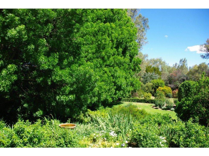 49 Montefiores Street, Wellington NSW 2820