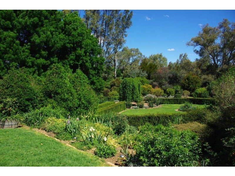 49 Montefiores Street, Wellington NSW 2820