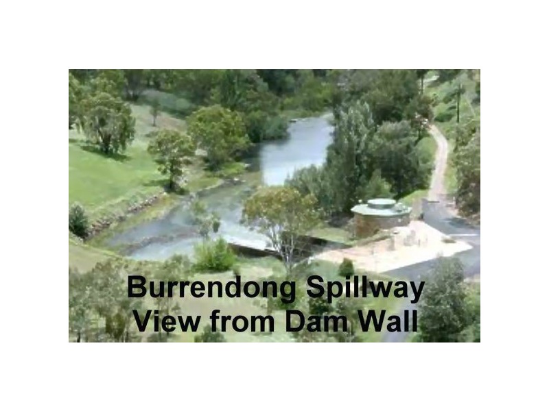 138 Tarrawingee Road, Mumbil NSW 2820