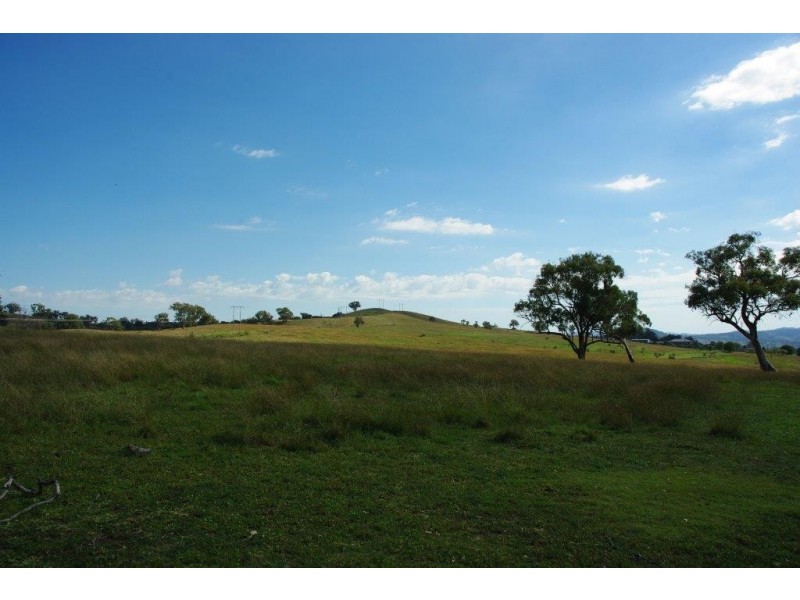 138 Tarrawingee Road, Mumbil NSW 2820