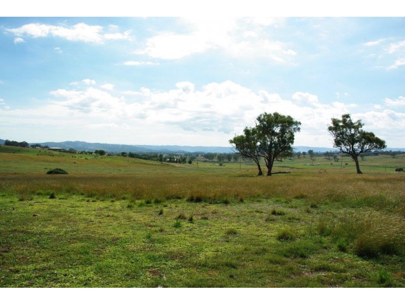 138 Tarrawingee Road, Mumbil NSW 2820