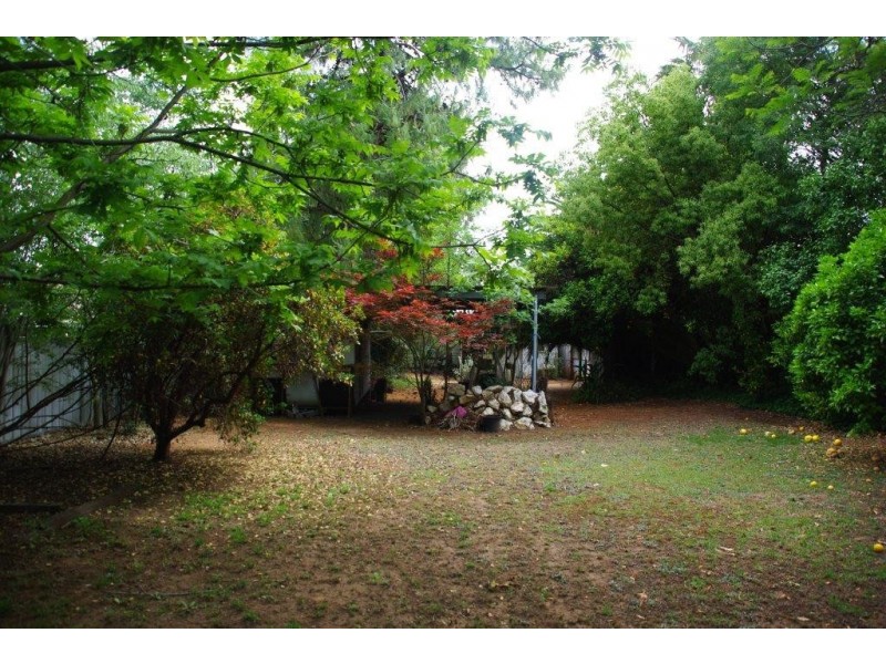 53 Whiteley Street, Wellington NSW 2820