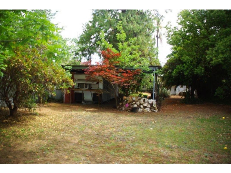 53 Whiteley Street, Wellington NSW 2820