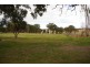 4 Naroogal Street, Mumbil NSW 2820