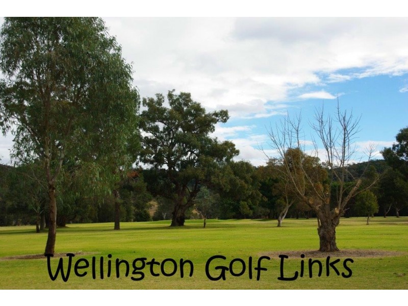 83 Caves Road, Wellington NSW 2820