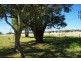 1 Sports Parade, Mumbil NSW 2820