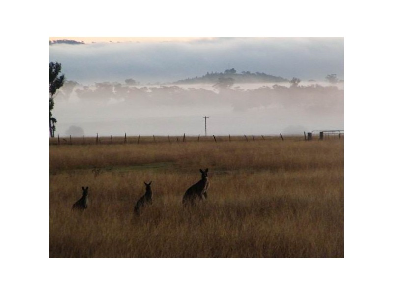 1 Sports Parade, Mumbil NSW 2820