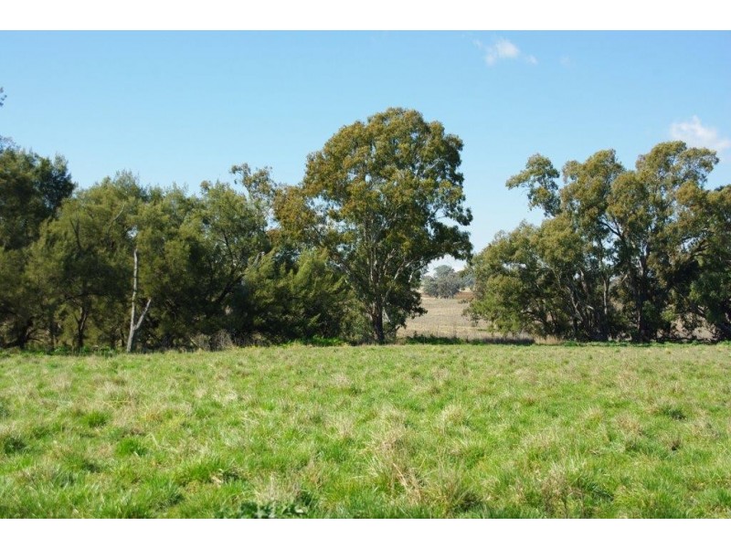 815 Mountain Valley Road, Neurea NSW 2820