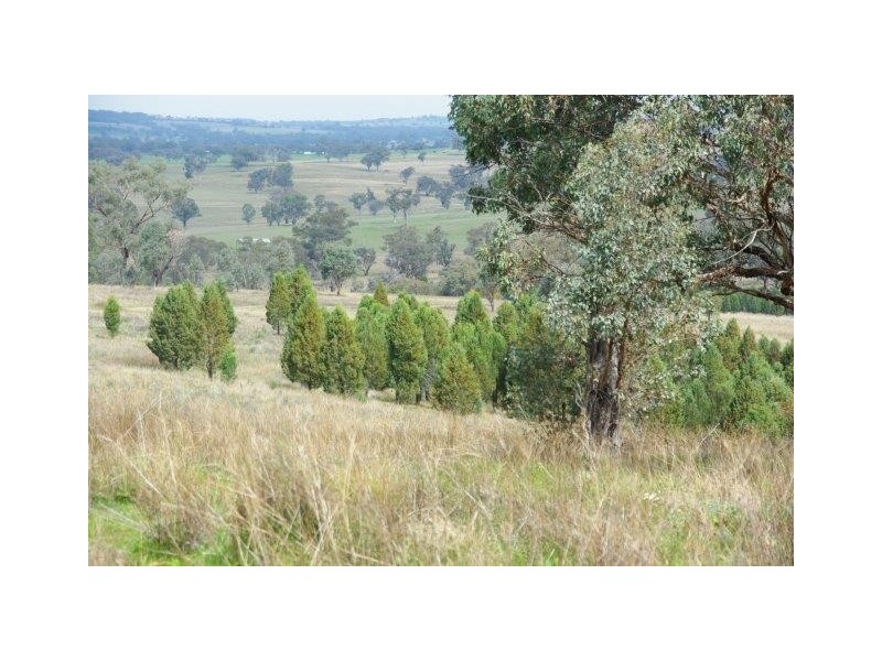 124 Rosehill Lane – Renshaw McGirr Way, Wellington NSW 2820