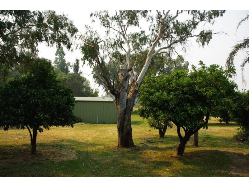 10 Whiteley Street, Wellington NSW 2820