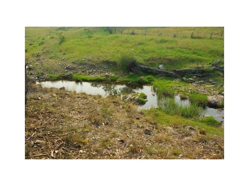 95 Fashions Mount Road, Mumbil NSW 2820