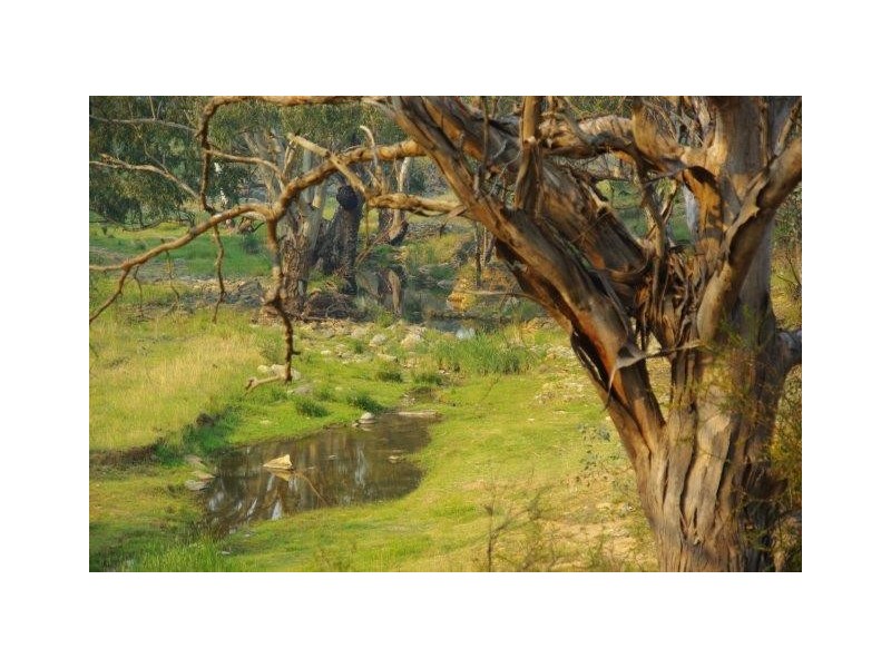 95 Fashions Mount Road, Mumbil NSW 2820