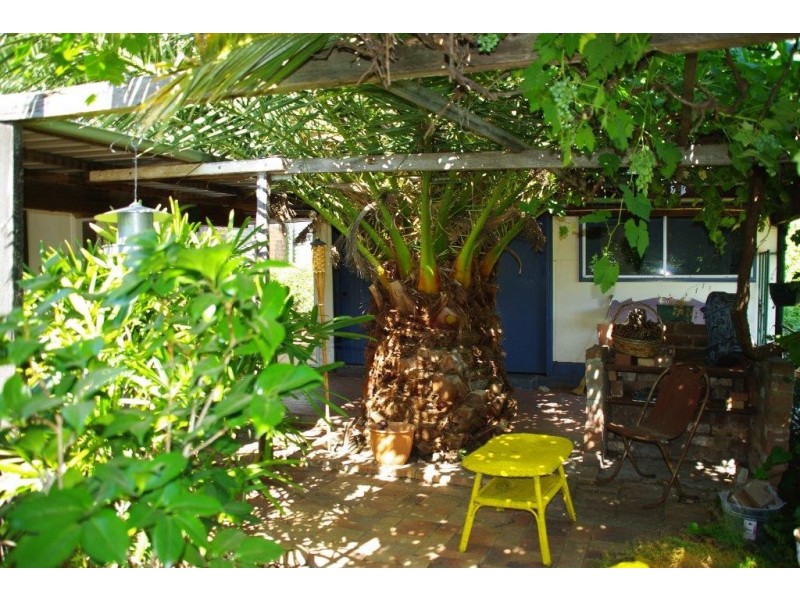 14 Gisborne Street, Wellington NSW 2820