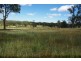 6586 Mitchell Highway, Molong NSW 2866