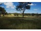 6586 Mitchell Highway, Molong NSW 2866