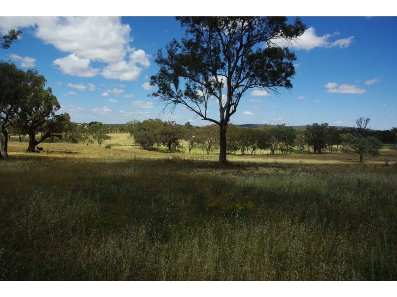 6586 Mitchell Highway, Molong NSW 2866