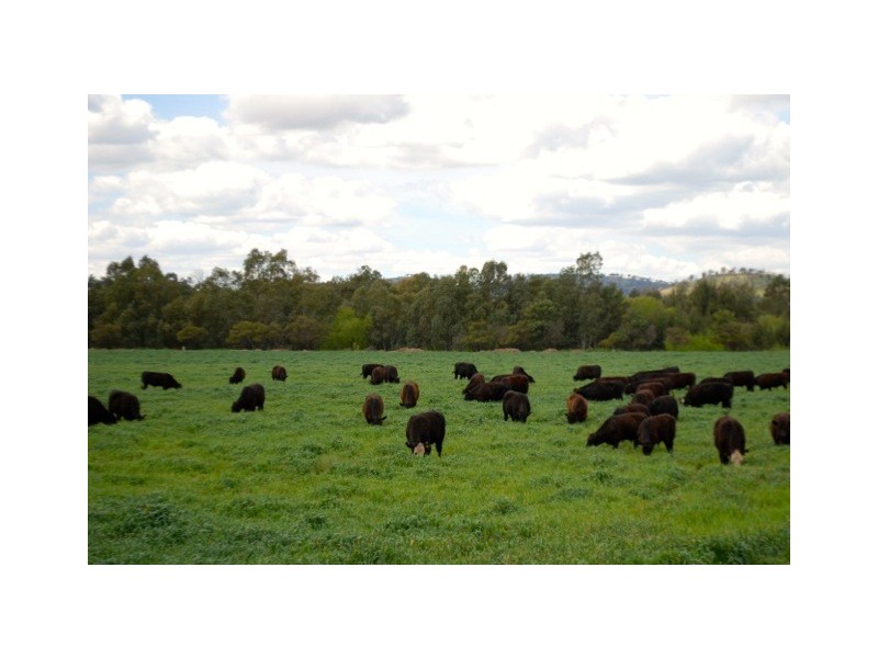 30 Brennans Way, Wellington NSW 2820