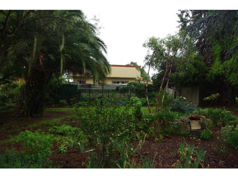 33 Charles Street, Wellington NSW 2820