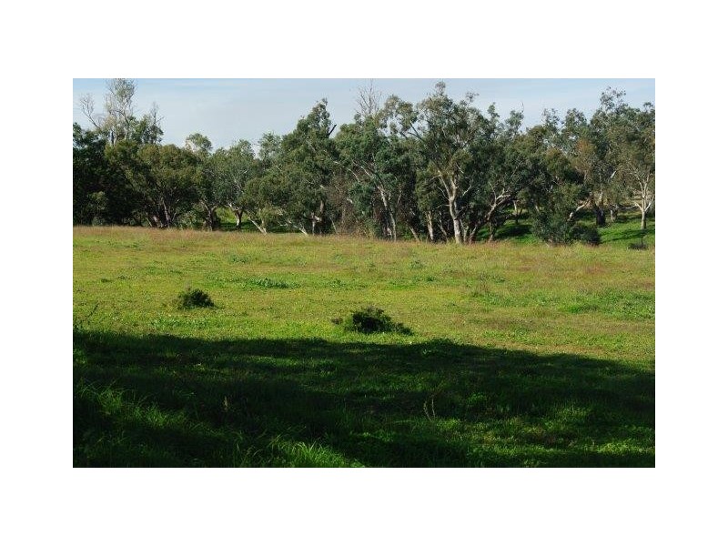 175 Little River Road Arthurville via, Wellington NSW 2820
