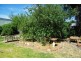 14 Gisborne Street, Wellington NSW 2820