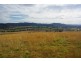 220 Pierce, Wellington NSW 2820