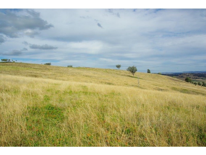 220 Pierce, Wellington NSW 2820
