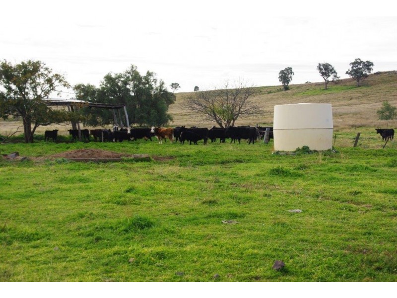 220 Pierce, Wellington NSW 2820