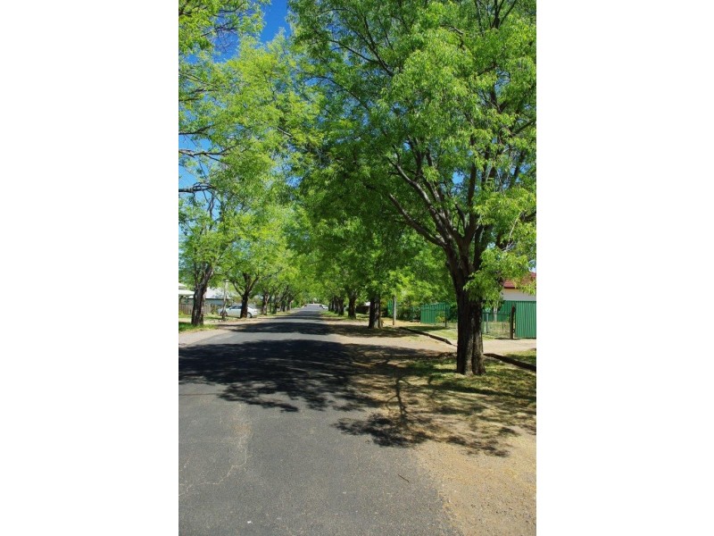 20 Clive Street, Wellington NSW 2820