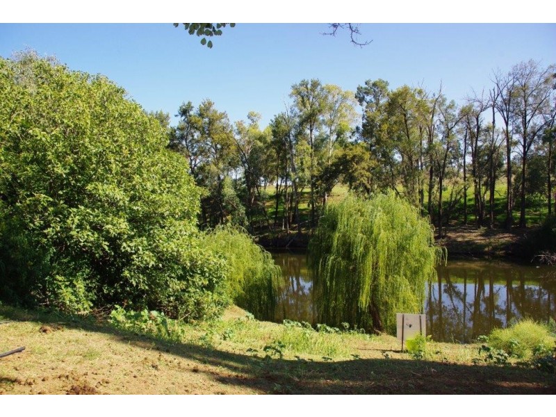 92 Gobolion Street, Wellington NSW 2820