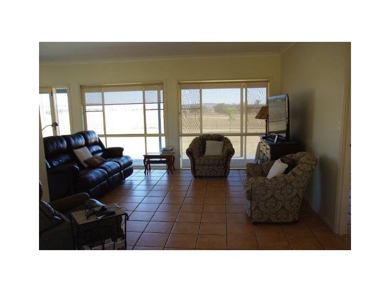 372 Kurrajong Road, Binnaway NSW 2395