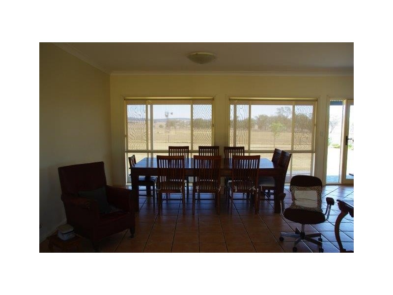 372 Kurrajong Road, Binnaway NSW 2395