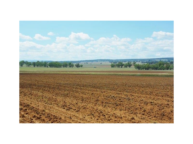 372 Kurrajong Road, Binnaway NSW 2395