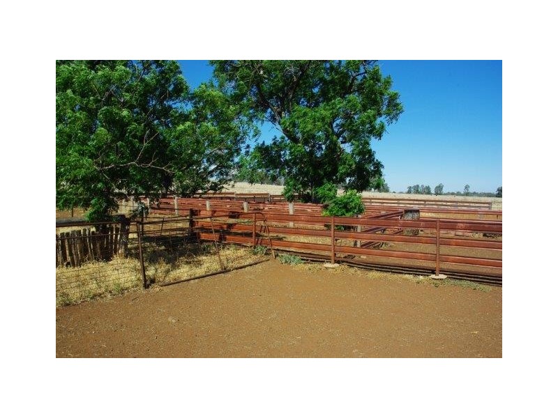 372 Kurrajong Road, Binnaway NSW 2395