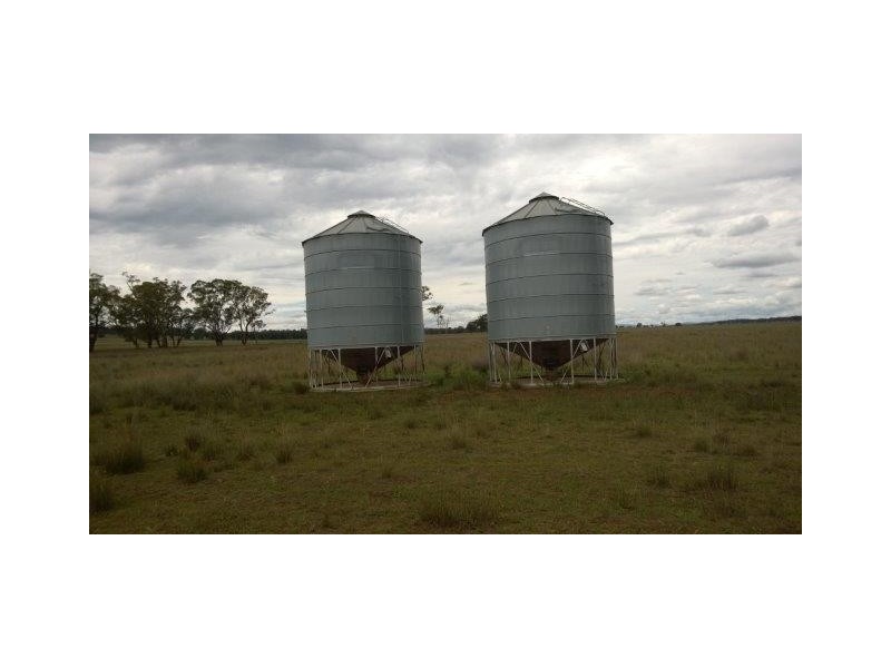 372 Kurrajong Road, Binnaway NSW 2395